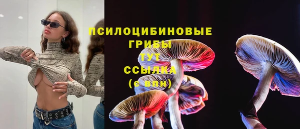 гидропоника Баксан